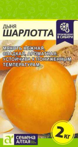 Дыня Шарлотта  купить