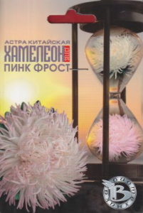 Астра Хамелеон SELECT Пинк Фрост китайская купить