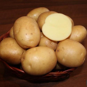 Картофель семенной Колобок 1кг/20 купить