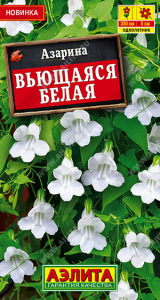 Азарина вьющаяся Белая купить