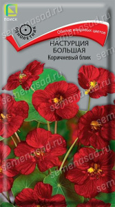 Настурция большая Коричневый блик купить