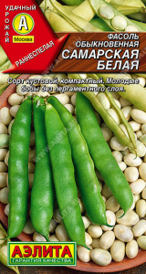 Фасоль Самарская белая  купить