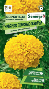 Бархатцы прямостоячие Каландо лимонно-жёлтые  купить