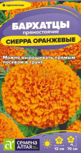 Бархатцы Сиерра Оранжевые купить