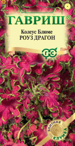 Колеус Роуз Драгон Элитная клумба купить
