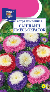 Астра Саншайн, смесь помпонная  купить