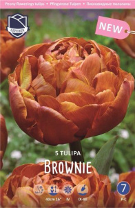 Тюльпан Брауни /5шт купить