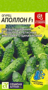 Огурец Аполлон F1 6шт купить