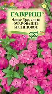 Флокс Очарование малиновое Друммонда купить
