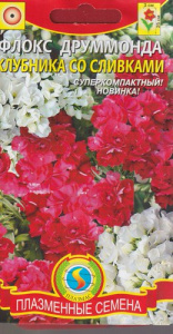 Флокс махровый Клубника со сливками  купить