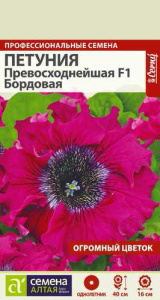 Петуния Превосходнейшая Бордовая  купить