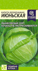 Капуста Июньская  купить
