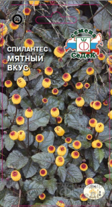 Спилантес Мятный вкус купить