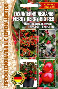 Гаультерия Мерри Берри Биг Ред (Merry Berry Big Red) лежачая купить