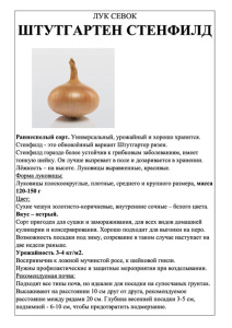 Лук Штургартен Стенфилд фото А5 купить