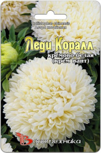 Астра Леди Коралл Крем Вайт  купить