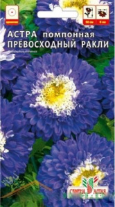 Астра Превосходный Ракли помпонная  купить