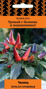Перец (кустарниковый) Чилиец купить
