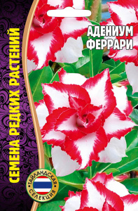 Адениум Феррари купить