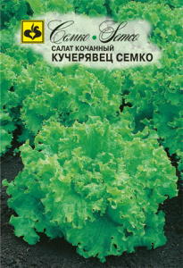Салат Кучерявец Семко полукочанный купить