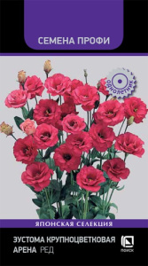 Эустома крупноцветковая Арена Ред купить