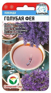 Лаванда Голубая фея  купить