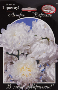 Астра Версаль/1шт купить