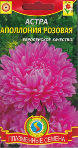 Астра Апполония Розовая  купить