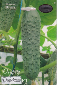 Огурец Директор F1 /1шт купить