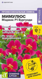 Мимулюс Мэджик F1 Бургунди купить