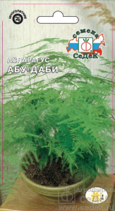 Аспарагус Абу-Даби купить