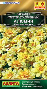 Бархатцы Алюмия ванильно-кремовые откл. купить
