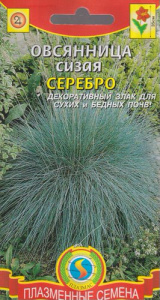 Овсянница сизая Серебро  купить