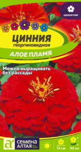 Цинния Алое пламя георгиноцветковая  купить