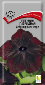 Петуния Дебонаир блек черри гибридная  купить