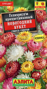 Гелихризум Новогодний букет, смесь  купить