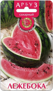 Арбуз Лежебока  купить