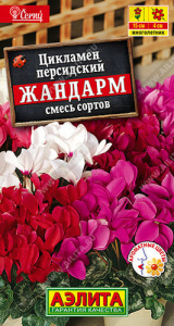 Цикламен персидский Жандарм, смесь  купить