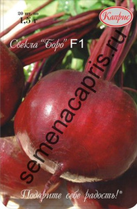 Свекла Боро/1шт купить