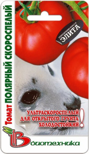 Томат Полярный скороспелый  купить