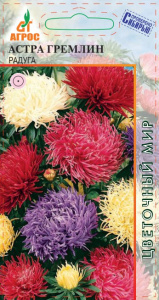 Астра Гремлин радуга купить