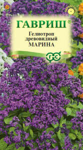 Гелиотроп древовидный Марина купить