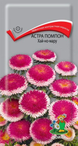 Астра Хай-но-мару помпонная купить