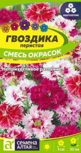 Гвоздика Перистая Смесь  купить