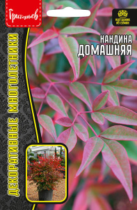 Нандина Домашняя купить