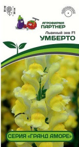 Львиный Зев Гранд Аморе F1 Умберто купить