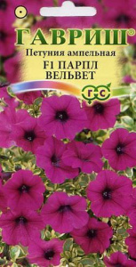 Петуния Парпл Вельвет (Сурфиния)   купить