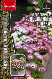 Делосперма Разноцветные Огоньки смесь сортов купить