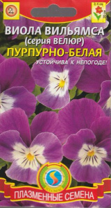 Виола вильямса Пурпурно-белая  купить