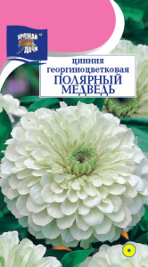 Цинния Полярный Медведь  купить